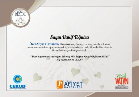 HAKİF TOĞULCA