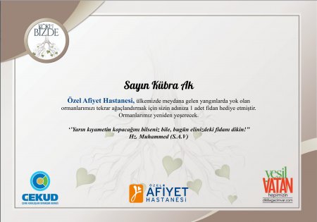 KÜBRA AK